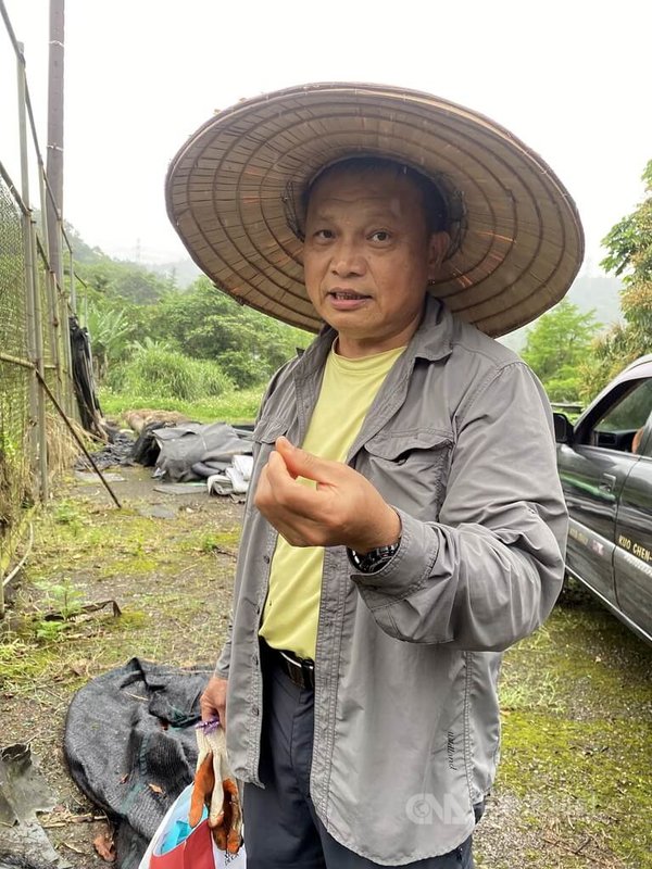 新北市瑞柑國小校長乃瑞春(圖)是南投縣人,他說,先祖是平埔族群的巴布薩族(Babuza),約180年前從彰化北斗遷到南投埔里。圖為乃瑞春民國112年4月25日時任上林國小校長。中央社記者黃旭昇新北攝 113年2月8日