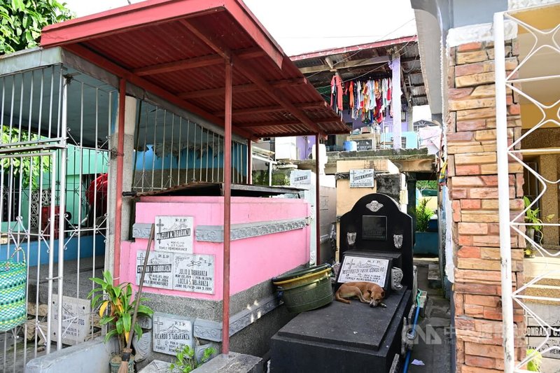 馬尼拉北部公墓有「墓地貧民窟」之稱,走進公墓,雖然石棺隨處可見,卻充滿蓬勃生活氣息。中央社特約記者Edward Bungubung攝 113年2月9日