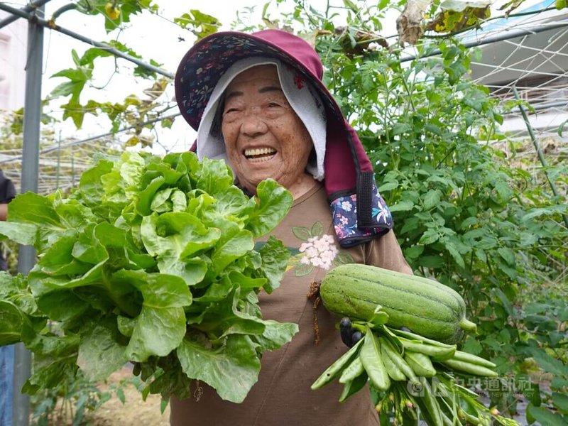 住在日本沖繩縣國頭郡恩納村97歲的喜久山濱子是當地有名的「超級阿嬤」，生性樂觀、身體硬朗。年輕時從事觀光業，70歲以後退休務農，做做賣菜生意。中央社記者楊明珠沖繩攝  113年2月10日