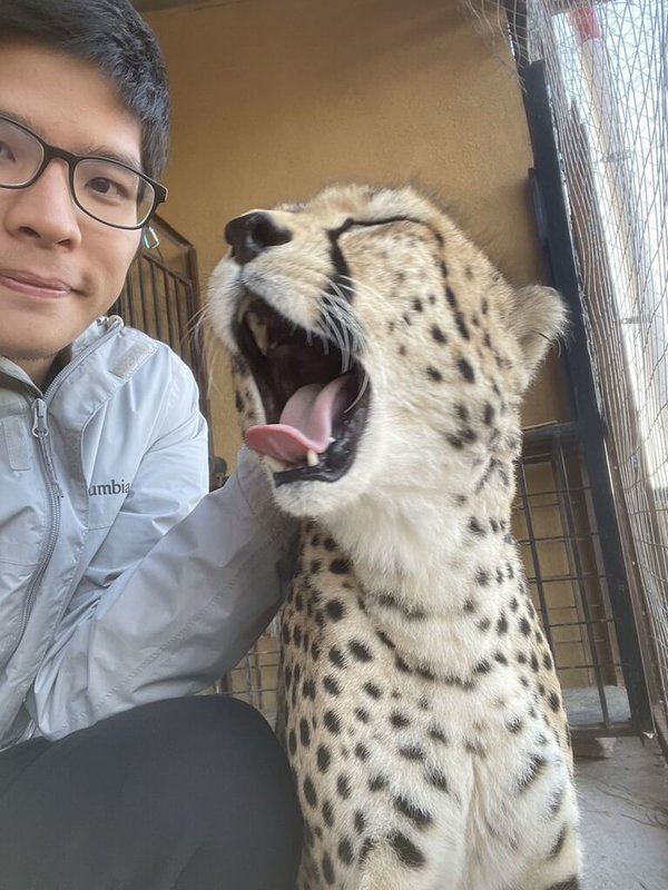 台灣獸醫陳弈凱表示，到索馬利蘭參加國合會計畫，讓他獲得難能可貴的經驗，一次見到許多瀕臨絕種的獵豹。（陳弈凱提供）中央社記者黃雅詩傳真 113年2月12日