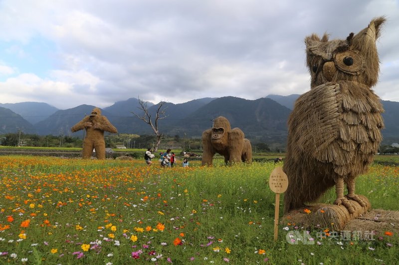 花蓮縣富里鄉稻草藝術季今年以「動物迷蹤.稻翼之歌」為主題,由各社區農民藝術家打造20多隻稻草鳥類裝置藝術。中央社記者李先鳳攝 113年2月13日