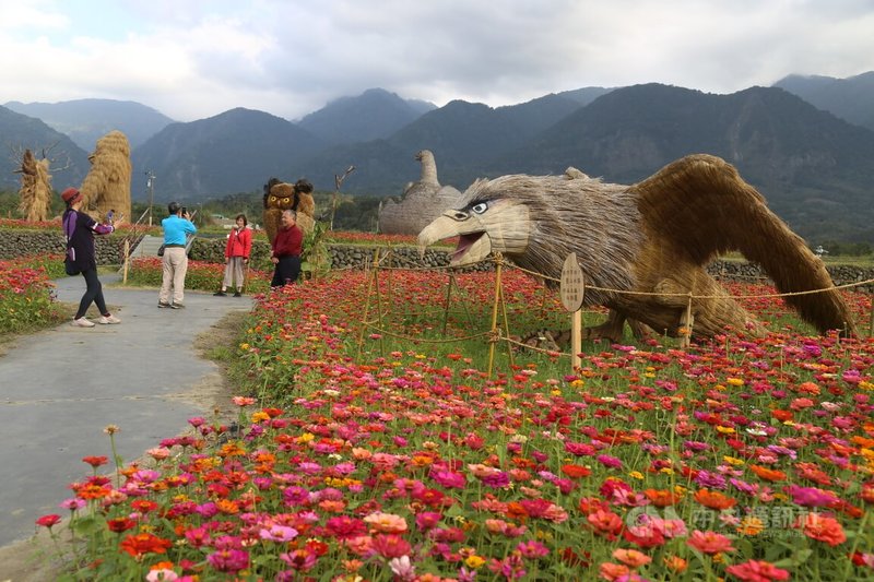 花蓮縣富里鄉稻草藝術季今年以「動物迷蹤.稻翼之歌」為主題,面積2公頃多,除了過去的大猩猩,還有20多隻稻草鳥類裝置藝術;此外園區種植波斯花及油菜花田,營造花海景觀。中央社記者李先鳳攝 113年2月13日