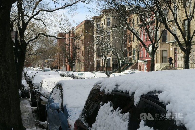 冬季風暴13日襲擊美國東北地區，紐約市迎接2年多來最強降雪，成為銀白世界。圖為布魯克林一處社區停靠路邊的車輛積雪。中央社記者尹俊傑紐約攝  113年2月14日