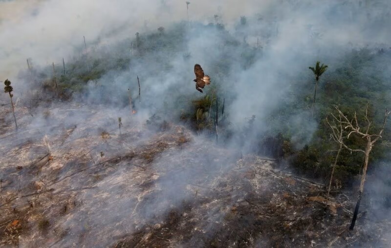 圖為2021年9月4日亞馬遜雨林因森林大火冒出陣陣濃煙。（路透社）