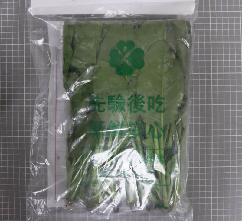 台中市食安處長傅瓊慧29日指出,統計中市民國112年農藥殘留違規蔬菜前3名分別為小葉菜類(菠菜與青蔥等)、包葉菜類(包心白菜與大芥菜等)與豆菜類(甜豆與菜豆等)。圖為菠菜。(台中市食安處提供)中央社記者趙麗妍傳真 113年2月29日