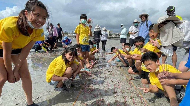 澎湖縣風櫃國小等師生與水試所合作在學校附近海域進行海草復育種植、移植,支持海洋保護與減碳行動,共同為環境永續發展盡一份心力。(風櫃國小提供)中央社 113年3月1日