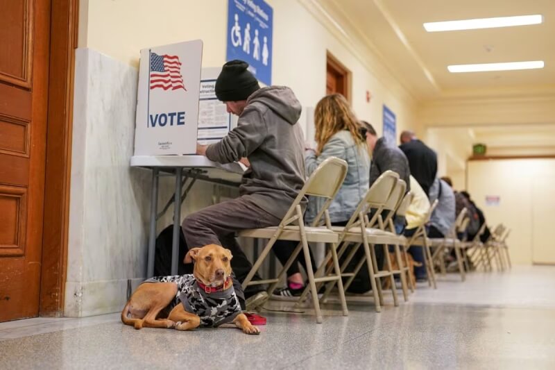 圖為選民在舊金山市政廳投票中心投票。（路透社）