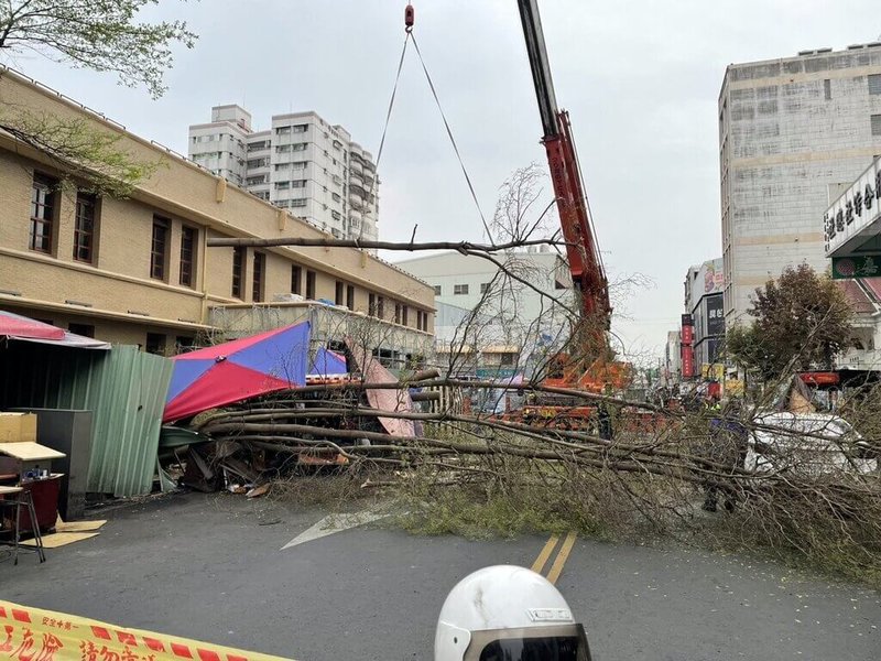 嘉義市歷史建築文化路郵局正在進行整修工程，9日下午位於郵局前的小葉欖仁樹突然傾倒，枝幹橫躺在路面，所幸未造成人員受傷。（嘉義市政府提供）中央社記者黃國芳傳真  113年3月9日