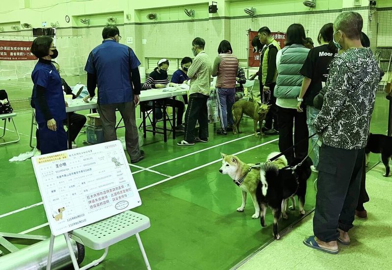 高雄市動物保護處10日舉辦偏鄉巡迴犬貓絕育三合一活動，首站到大樹區，提供犬貓絕育、狂犬病疫苗及晶片施打等服務。（高雄市動保處提供）中央社記者蔡孟妤傳真  113年3月10日