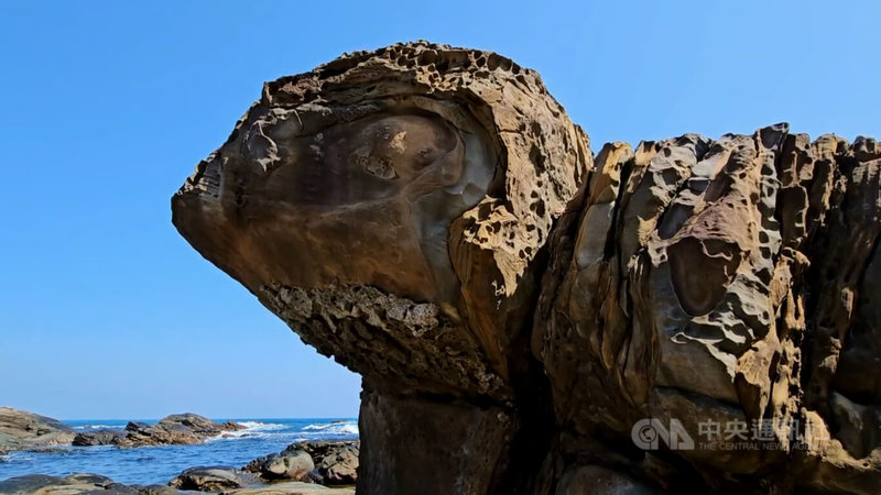 有民眾在基隆外木山海岸發現一塊奇岩，從側面望去，輪廓猶如大烏龜，「大眼睛」更是傳神，引發網友熱烈討論。中央社記者王朝鈺攝 113年3月12日