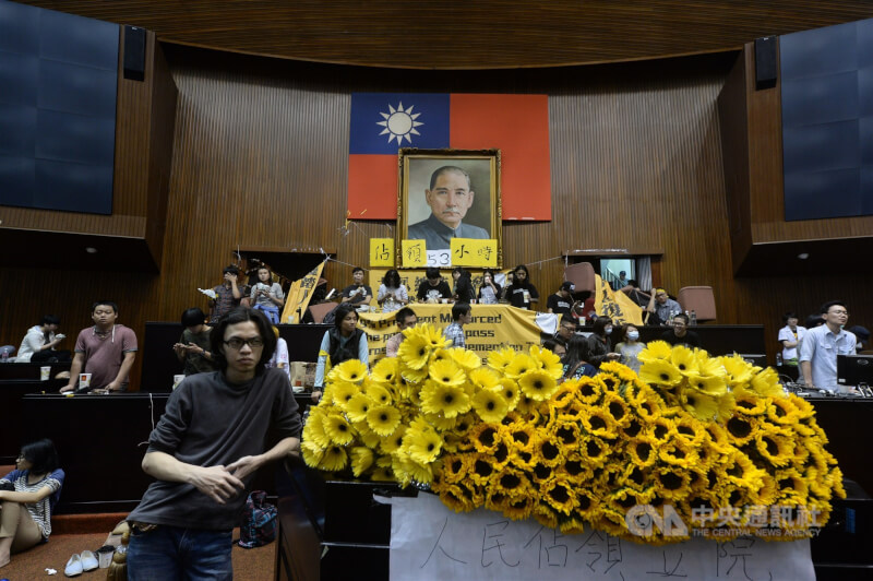 2014年反服貿群眾將花店贈送的向日葵插在議場講台上，經過媒體流傳後，漸以「太陽花學運」稱呼這次占領行動。（中央社檔案照片）