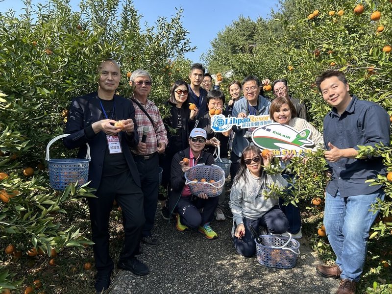 相近的語言、多元的美食及豐富的文化特色,使台灣成為香港旅遊首選目的地,13家港澳媒體踩線團訪台,首站造訪台中市,市府觀光旅遊局推薦到果園體驗採果樂趣。(民眾提供)中央社記者趙麗妍傳真 113年3月20日