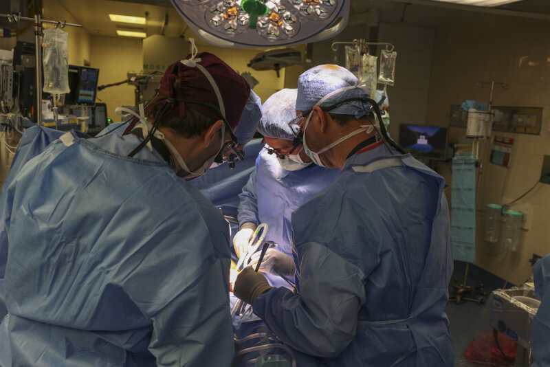 美國麻州綜合醫院醫師成功將基因改造的豬腎移植到活體患者身上。（圖取自美國麻州綜合醫院網頁massgeneral.org）