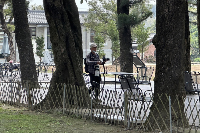 被譽為「台灣最美野鳥」的朱鸝，近日現蹤台南山上花園水道博物館園區，吸引喜愛攝影鳥友帶著專業裝備造訪園區，希望拍到美麗身影。（台南市文化局提供）中央社記者楊思瑞台南傳真  113年3月24日