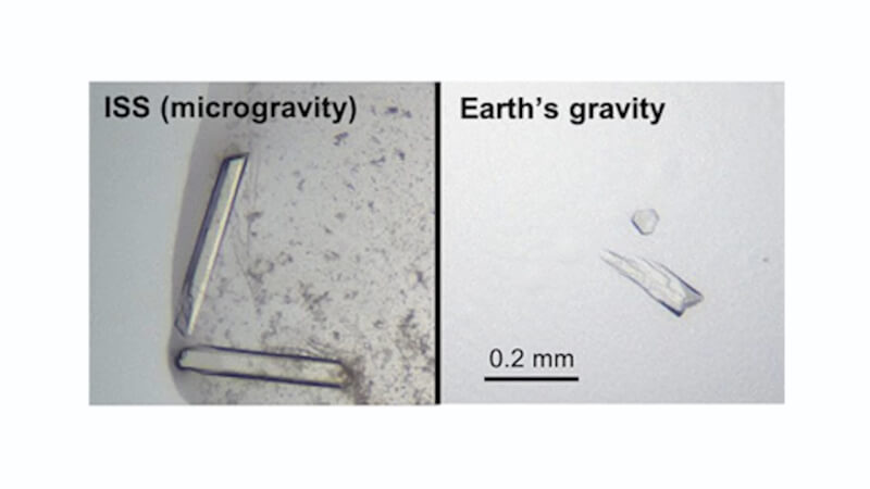 图左为在国际太空站实验形成的晶体，右则是在地心引力环境下实验形成的晶体。（图取自NASA YouTube频道网页youtube.com）