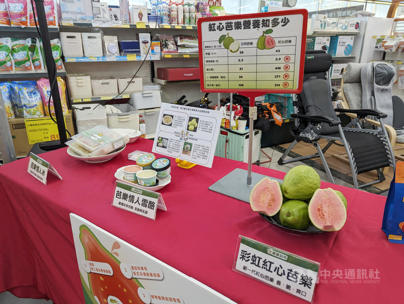 農業部農糧署輔導青年農民與產銷班,成功栽培出新一代彩虹芭紅心芭樂,果香濃郁之外,營養素也比一般芭樂高出許多,28日舉行上市活動,農業試驗所也研發出芭樂青冰品等加工品。中央社記者蘇木春攝 113年3月28日