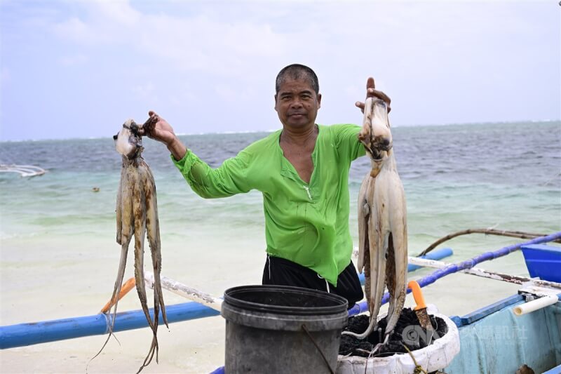 在中業島沙灘上，一名菲國漁民展示他捕撈到的2隻近3.5公斤大章魚。中央社特約記者Edward Bungubung攝 113年3月28日