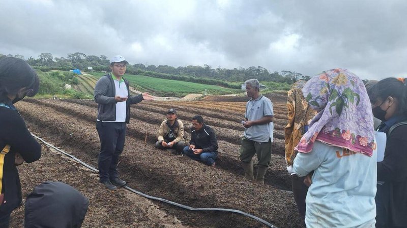 驻印尼台湾技术团从2023年1月开始在印尼北苏门答洪邦哈孙杜丹县建立5公顷生产教学示范区、训练农民提升蔬菜作物技术能力。（驻印尼台湾技术团提供）中央社记者李宗宪雅加达传真  113年3月29日