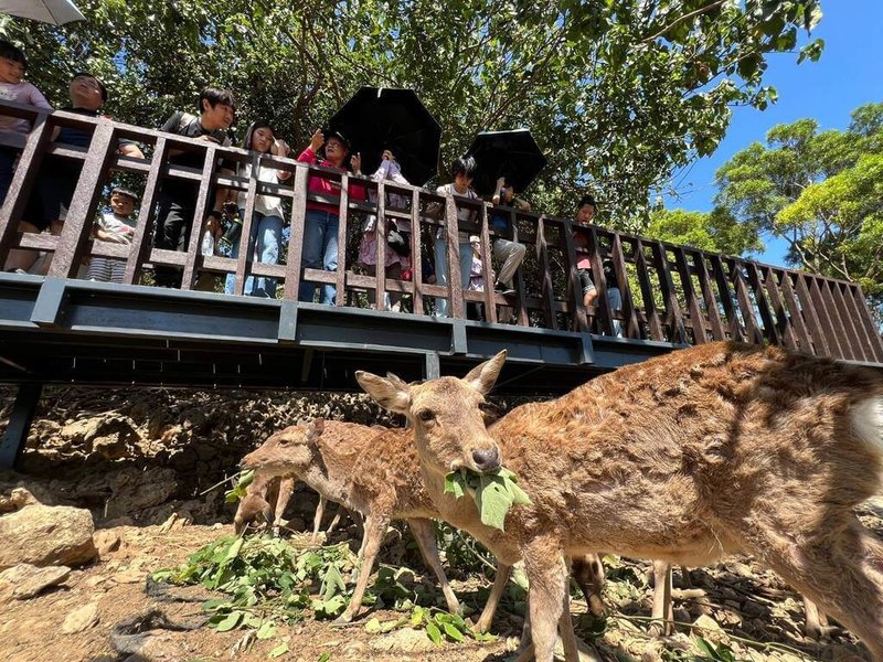 兒童節連假期間，高雄市天氣晴朗，壽山動物園等多處景點湧現人潮。（高雄市觀光局提供）中央社記者蔡孟妤傳真  113年4月7日