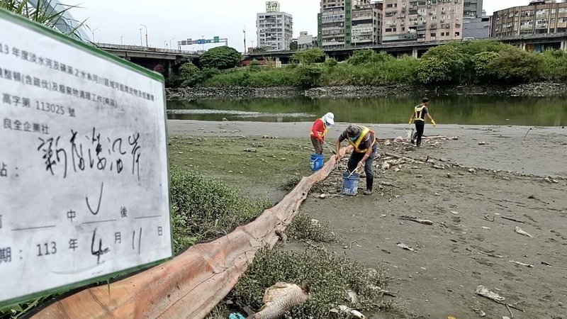 橫跨雙北的新店溪近日出現魚群疑因缺氧暴斃情形,雙北啟動應變機制,新北市高灘處及台北市水利處連續多天派遣人力及船隻清理,已清除約14.03公噸死魚,11日仍持續作業,預估本週應可清理完成。(新北市環保局提供)中央社記者黃旭昇新北市傳真 113年4月11日