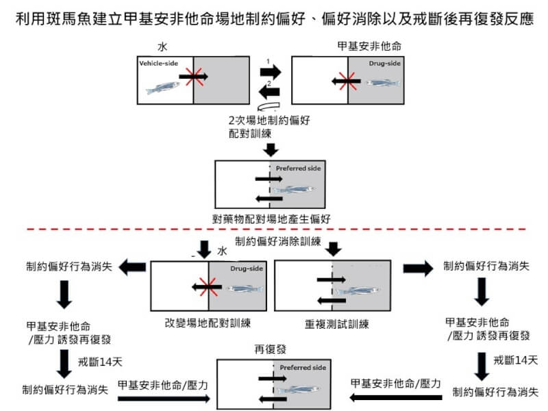 （圖取自衛福部網頁mohw.gov.tw）