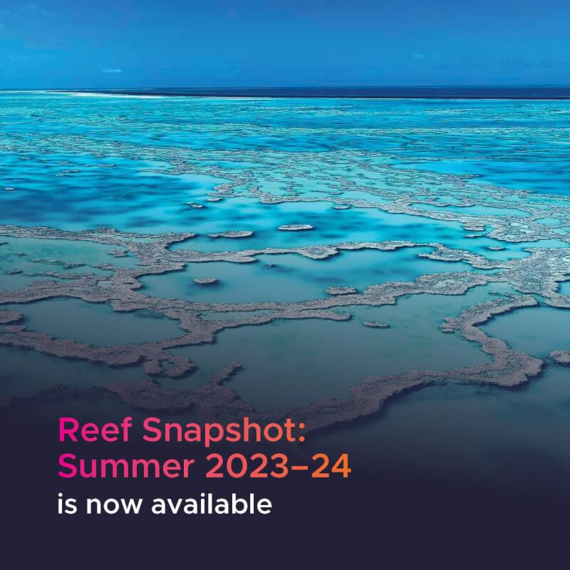 澳洲大堡礁海洋公園管理局17日表示，壯觀的大堡礁正經歷有史以來最嚴重的白化現象。（圖取自facebook.com/GreatBarrierReefMarinePark）
