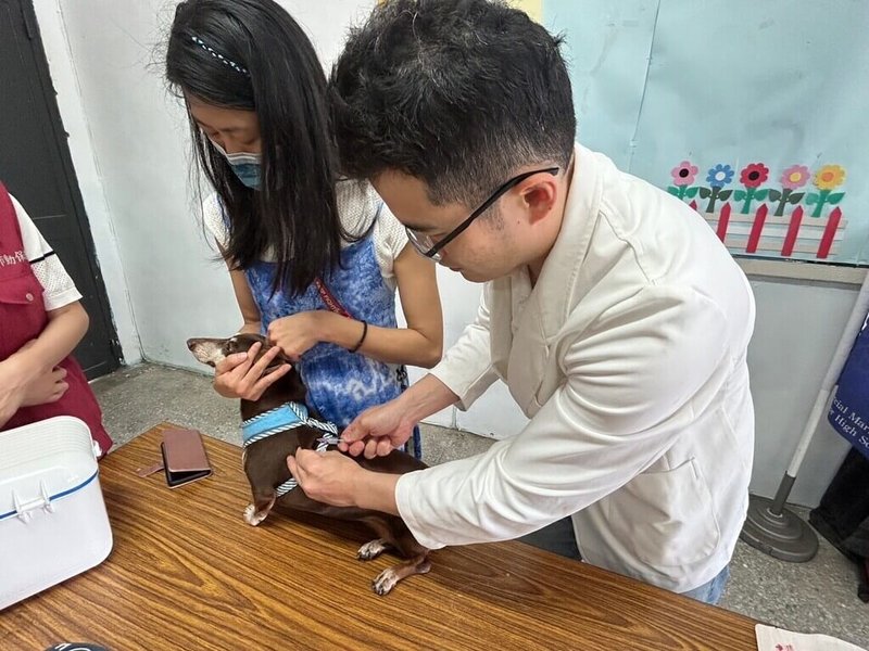 中華商業海事職業學校新領養的校犬「妮妮」多次發生咬傷師生等問題,新北市動保處日前派獸醫與訓犬師到校協助檢查並說明相處注意事項,經校方宣導後情況獲改善。(新北市動保處提供)中央社記者高華謙傳真 113年4月23日