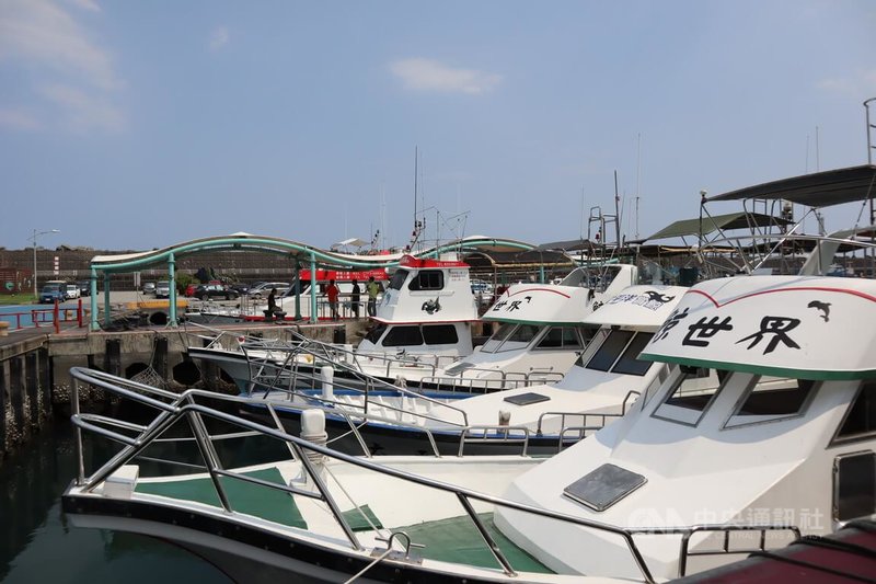 台灣海域孕育豐富鯨豚資源,在全球80多種鯨豚中,有近30種曾出現在台灣周遭海域。台灣賞鯨在1997年於花蓮石梯港「海鯨號」首航,2003年曾被國際評為賞鯨發展最快速的地方。中央社記者李先鳳攝 113年4月29日