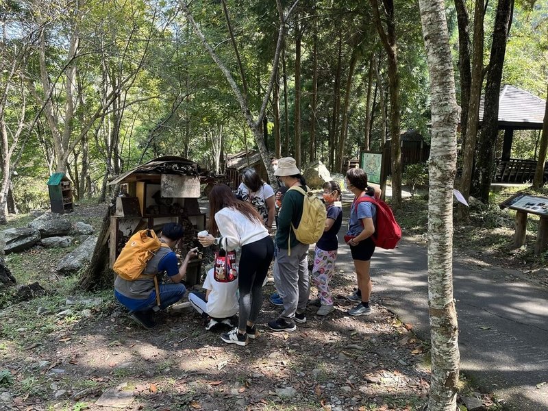 林業及自然保育署台中分署八仙山自然教育中心推出系列暑期活動，讓孩子組隊探索森林，近距離進行野外觀察。（林業及自然保育署台中分署提供）中央社記者趙麗妍傳真  113年4月30日