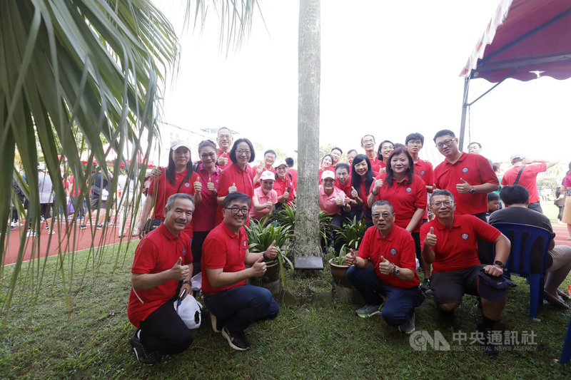 吉隆坡台湾学校1日举行33周年校庆暨运动会，校园中有总统蔡英文于2009年访问时种下的小英树，当初幼苗如今已长成茂盛大树。图为台校有关人员在小英树前合影。中央社记者黄自强吉隆坡摄  113年5月1日