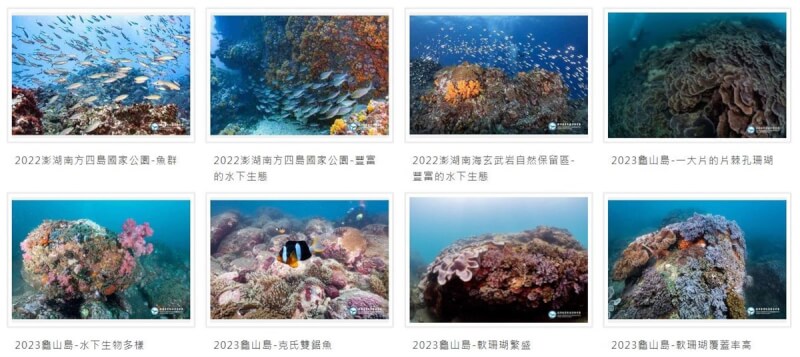 海洋委員會海洋保育署網站推出「海洋保育圖庫專區」，規劃「海洋保護區與教育宣導」、「海洋生物保育與在地守護」及「海洋環境管理與治理」3大展示區。（海洋委員會海洋保育署提供）中央社記者張已亷傳真 113年5月8日