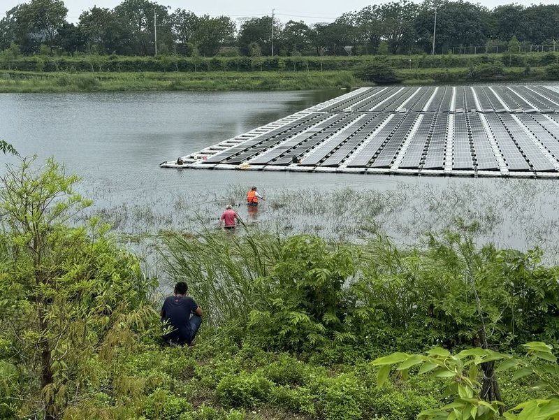 嘉義縣中埔鄉公所人員7日在公館滯洪池進行除草作業時疑發現鱷魚蹤跡，縣府農業處經3天巡查仍未尋獲，呼籲民眾若看到鱷魚切勿貿然捕捉，以免受到傷害。（嘉義縣政府提供）中央社記者蔡智明傳真 113年5月10日