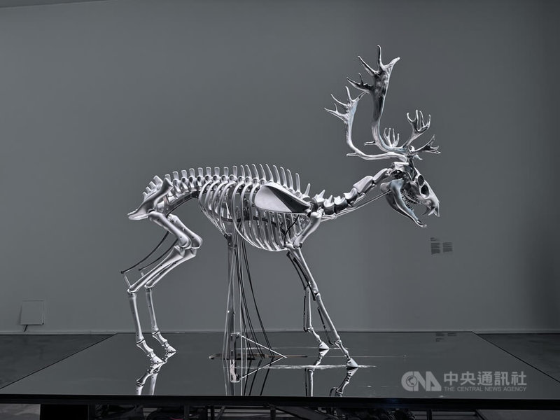 英国艺术家柯里萧（Mat Collishaw）设计的「数位雄鹿」，由钢、铝、电路、显示器等材料所组成。中央社记者刘郁葶布拉格摄  113年5月10日
