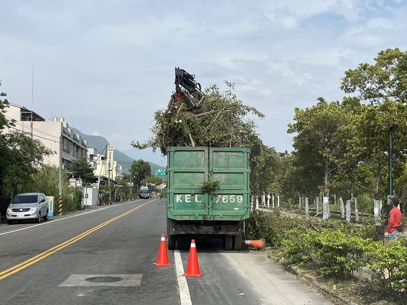 南投縣集集車站前小葉欖仁綠蔭大道浮根問題影響交通安全，集集鎮公所14日已砍除約200棵樹，預計到20日清運樹幹、樹葉等，之後日管處將改善自行車道、鋪面，改種適合當地樹穴環境的矮灌叢。（集集鎮公所提供）中央社記者鄭維真傳真 113年5月16日