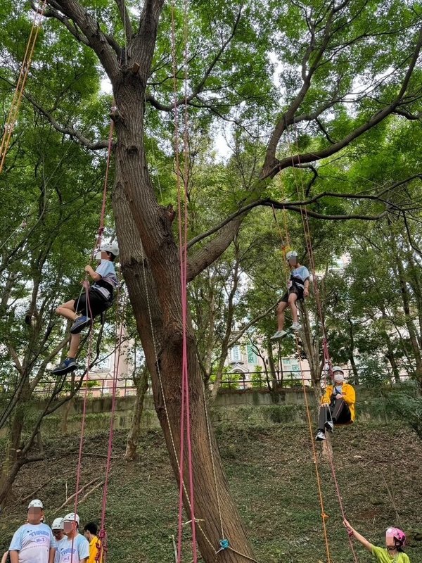 新竹市新科國中每年都會辦理攀樹畢業季活動，多名9年級學生22日穿上裝備，透過團隊合作進行繩索吊掛、攀樹，在老師引導下完成這堂「必修課」。（新科國中提供）中央社記者魯鋼駿傳真  113年5月22日