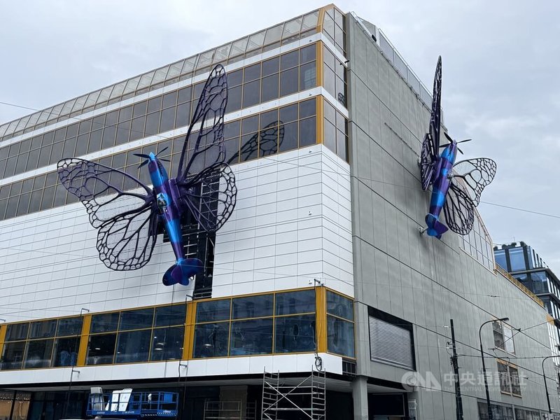 捷克前衛藝術家切爾尼（David Černý）最新藝術品「蝴蝶」（Butterflies），近日展示在布拉格百貨公司的外牆上。中央社記者劉郁葶布拉格攝  113年5月24日
