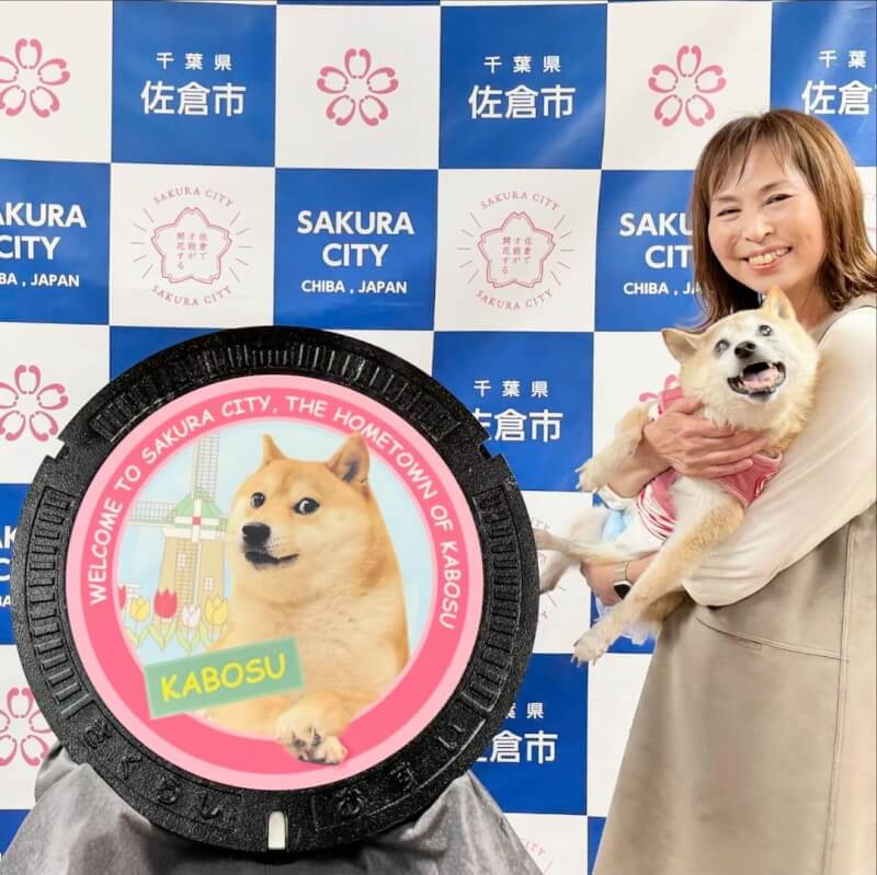 圖為日本柴犬Kabosu和飼主去年參加佐倉市舉辦的紀念儀式。（圖取自instagram.com/kabosumama/）