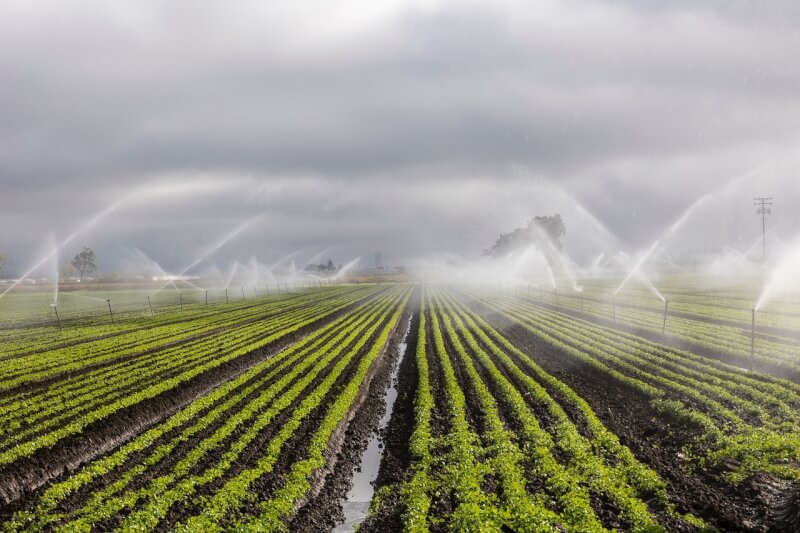 澳洲環境廳表示，地下水可用於農業、灌溉，碳捕集與封存（CCS）計畫恐對農用地下水造成無法挽救的傷害。（圖取自pixabay圖庫）