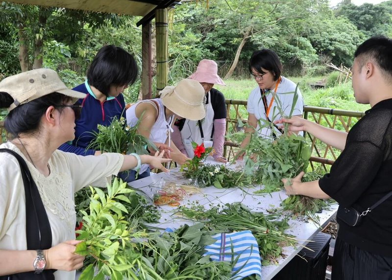 新北市府原住民族行政局26日表示,25日下午在三峽原民特色農園舉辦食農教育體驗活動,由阿美族人帶領遊客製作香草、野菜花束送給自己。(新北原民局提供)中央社記者黃旭昇新北傳真 113年5月26日