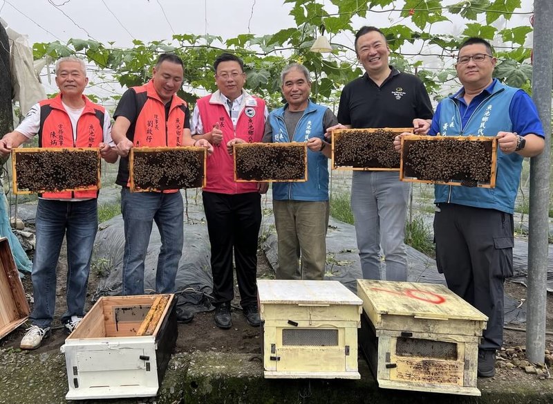 南投縣魚池鄉頭社活盆地是絲瓜重要產區，因瓜類花粉粒黏重，不易靠風傳播，需藉助蜜蜂媒介授粉，才有高結果率及良好果型，鄉公所購買約50萬隻蜜蜂，鄉長劉啟帆（左3）等人3日前往鄉農會頭社分部放置蜂箱，盼助瓜農提高收益。（魚池鄉農會提供）中央社記者蕭博陽南投縣傳真  113年6月3日