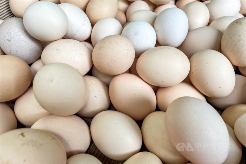 图为散装鸡蛋。（中央社档案照片）