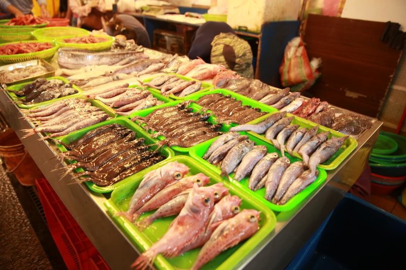 環保團體綠色和平與高雄科技大學水產養殖系副教授何宣慶合作進行台灣市場常見魚類普查，在6大漁港拍賣市場中，蒐集台灣40種漁港市場常見魚種樣本，總計逾3萬筆有效數據。（綠色和平提供）中央社記者吳欣紜傳真 113年6月6日