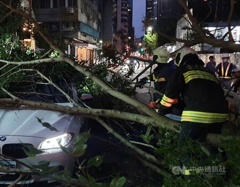 台北市大安區四維路一處巷弄7日晚間發生路樹倒塌事件，一輛行進汽車遭壓，車上3人受困車內，警消獲報馳援，所幸無人受傷。（翻攝畫面）中央社記者劉建邦傳真  113年6月7日