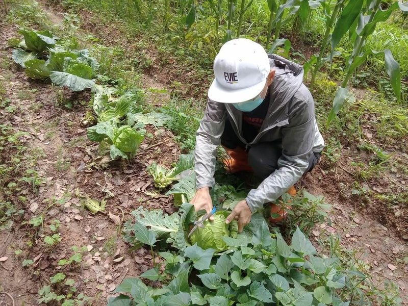 台中市環保局在南屯區文山資源回收環境教育園區開辦「環保農園」，台中市民可申請免費承租5個月，將抽出30人，歡迎有興趣的民眾踴躍報名。（台中市政府提供）中央社記者郝雪卿傳真  113年6月18日