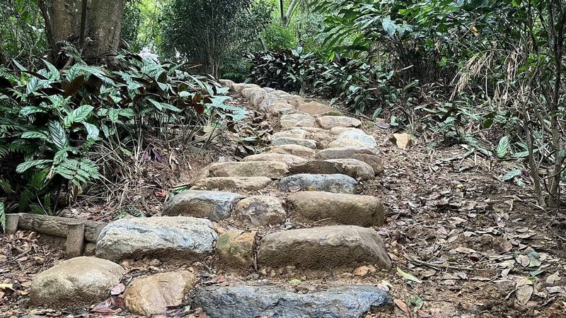新北市觀光旅遊局18日表示,「微笑山線」山林步道修繕工程以尊重自然、減法設計、美學及永續發展為設計理念,拆除步道的人工化塑木,改以塊石堆砌而成的砌石階梯(圖),達到與環境共生。(新北觀旅局提供)中央社記者黃旭昇新北傳真 113年6月18日