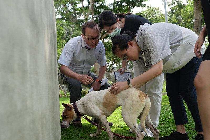 中興大學獸醫學系副教授林荀龍（左）開設通識課，帶領學生到動物之家義診，從行動中了解流浪動物議題。（中興大學提供）中央社記者趙麗妍傳真  113年6月21日