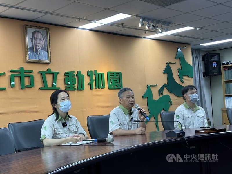 來自日本的馬來貘「Hideo英雄」在搭機過程中身亡,台北市立動物園發言人曹先紹(中)、獸醫室主任賴燕雪(左)24日說明初步解剖結果。中央社記者陳昱婷攝 113年6月24日