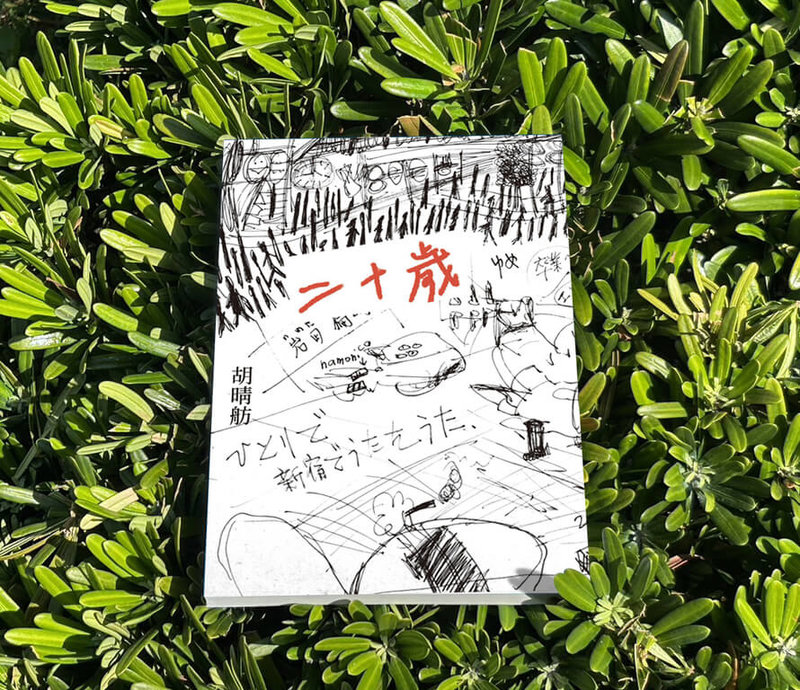 作家胡晴舫近期出版小說「二十歲」，故事串連一群二十歲的人，直擊人性對名利、階級、慾望的追求，不斷挑出成長過程中每個痛苦的結點。（麥田出版提供）中央社記者邱祖胤傳真  113年6月24日