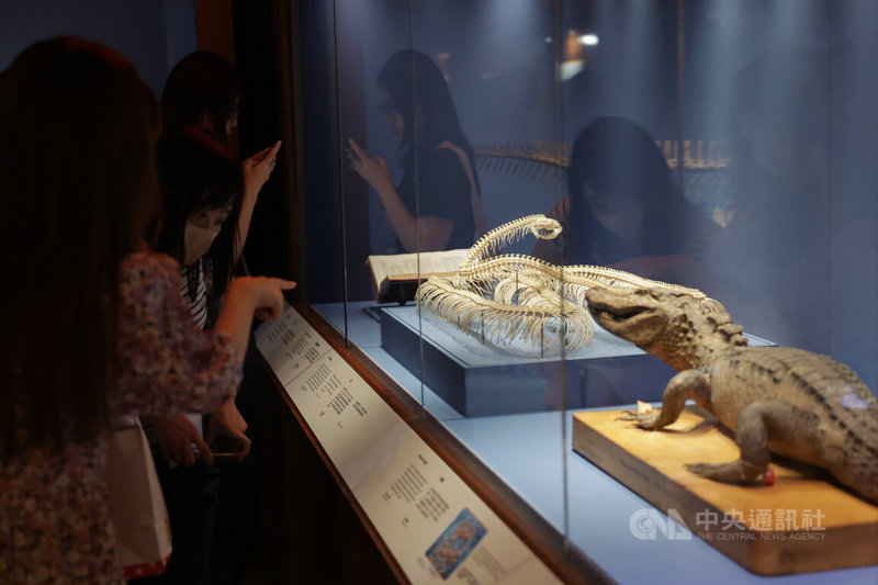 「怪獸與大自然的奇幻世界」特展將於4日登場,除大英自然史博物館珍貴館藏,也展出電影「哈利波特」、「怪獸與牠們的產地」出現的道具與藝術作品等,讓參觀者探索魔法世界的奇獸與真實自然界生物的關聯。中央社記者裴禛攝 113年7月3日