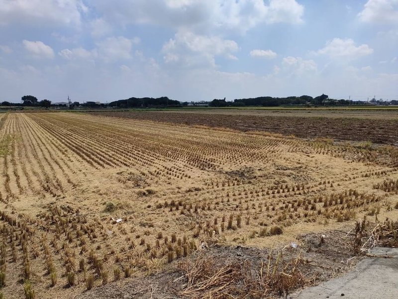 雲林崙背廖姓農民5日發現自家農田（圖）稻穀不知被誰「割稻尾」，經警方調查後發現是代割業者不慎誤割，雙方經調解後和解，業者賠償農民新台幣4萬餘元。（警方提供）中央社記者蔡智明傳真  113年7月6日